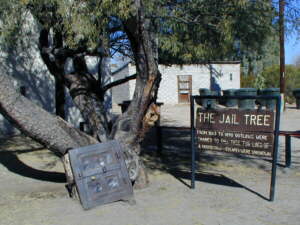 Jail-Tree in Wickenburg