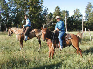 Zwei Cowboys