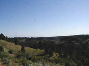 Deer Plot Range