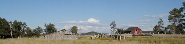 New Haven Ranch