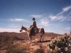 Stephen, der head wrangler