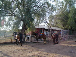 Letzter Stop am Ranchhaus