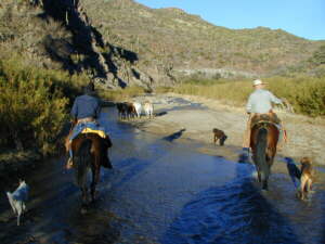 Williams Family Ranch, Arizona