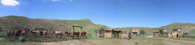 Working Cattle Ranch, Saskatchewan